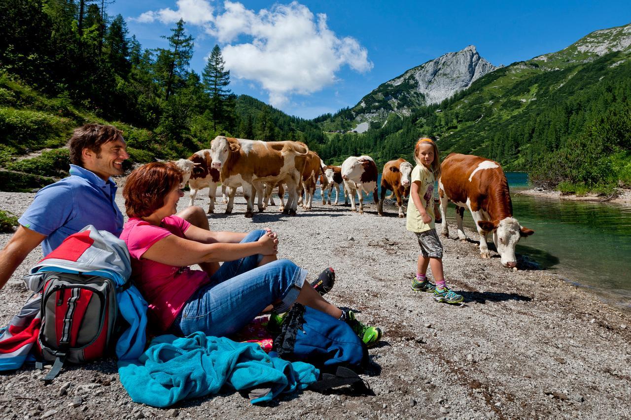 Hotel Ausseerland บัดมิทแทร์นดอร์ฟ ภายนอก รูปภาพ